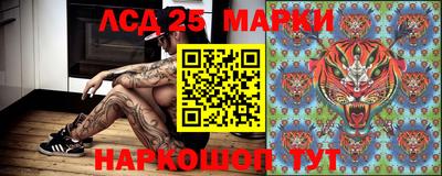 гидра Беслан