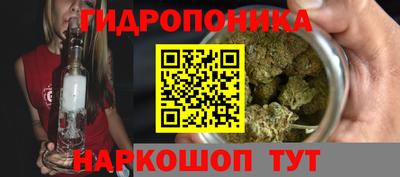 гидра Беслан