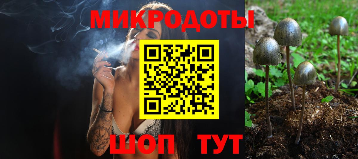 Галлюциногенные грибы Magic Shrooms  Галлюциногенные грибы Magic Shrooms  Вход с VPN  Златоуст 